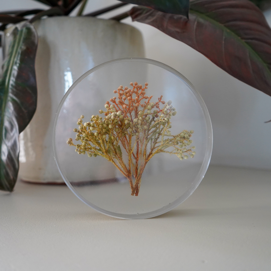 Round Flower Preservation