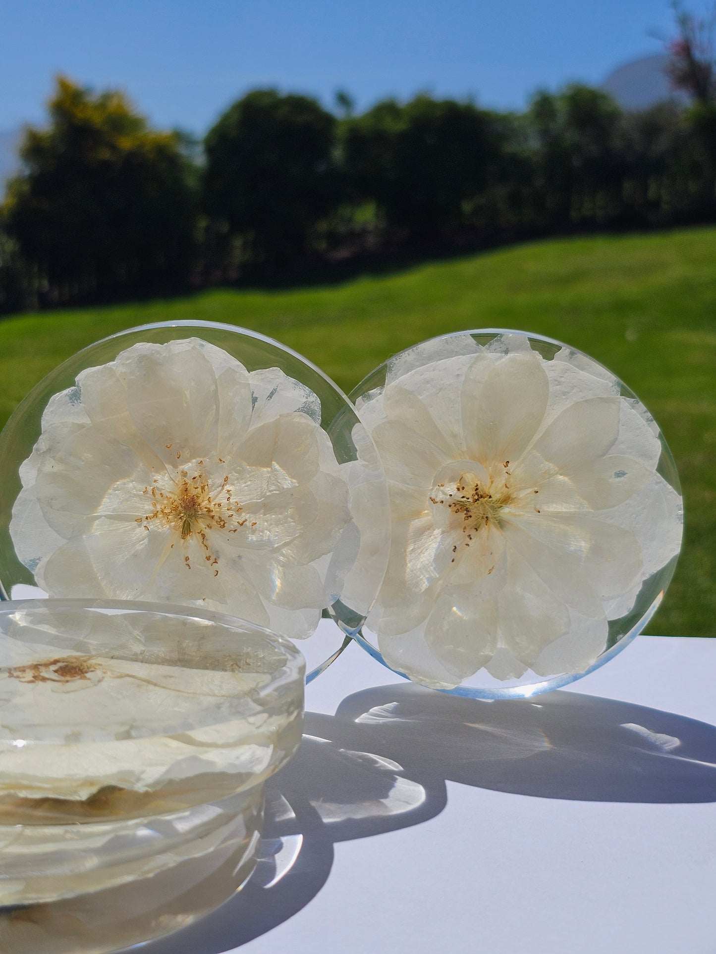 Set Of 4 Coasters