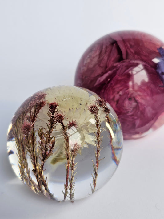 Globe Flower Preservation