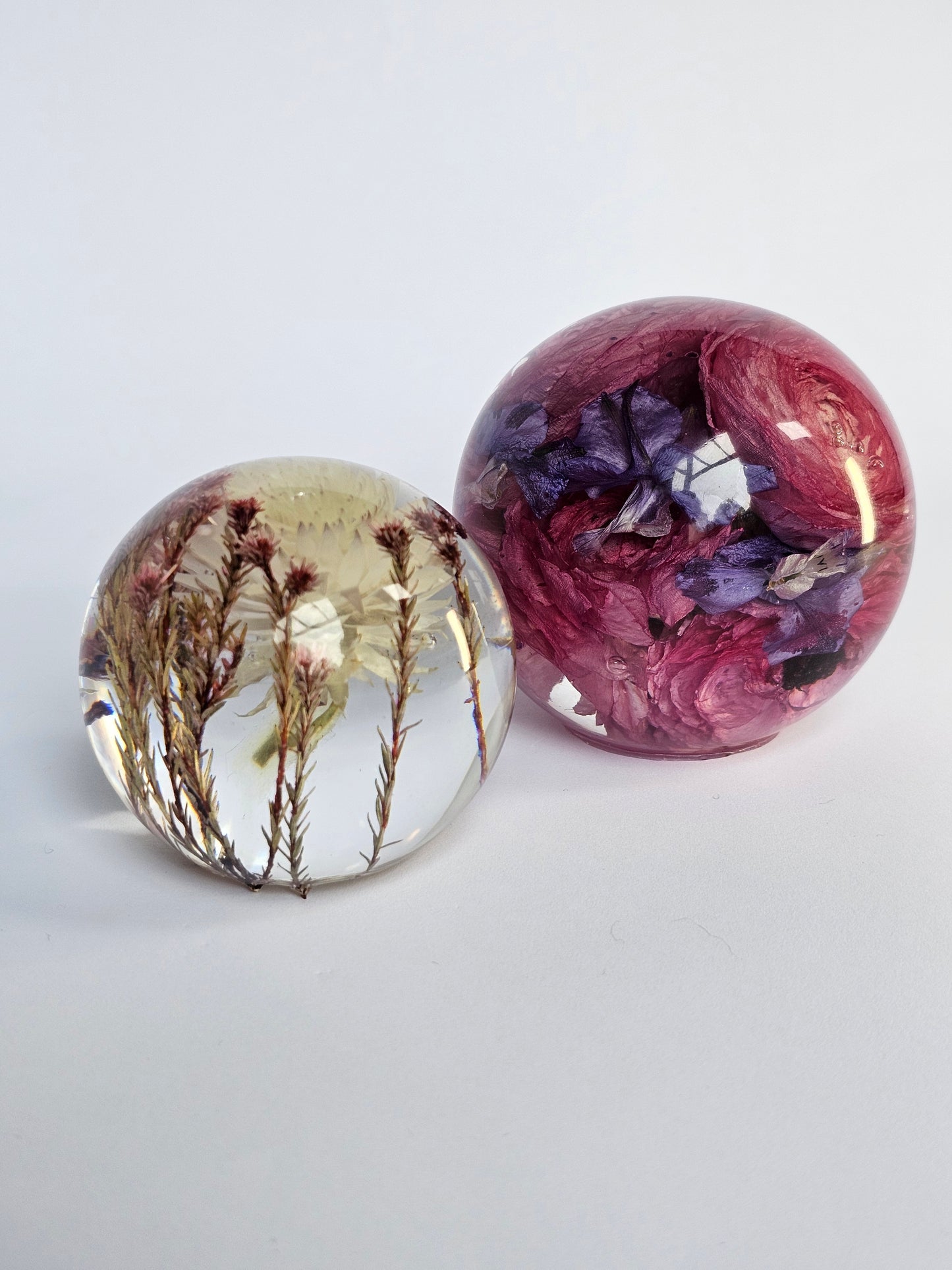 Globe Flower Preservation