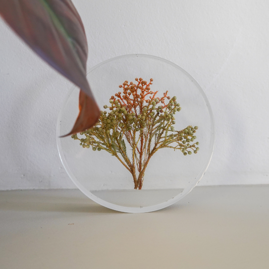 Round Flower Preservation